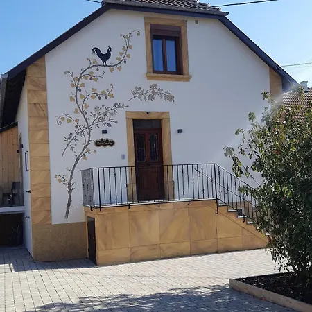 Alsacien : Terrasse, Sauna Privé, Accès Piscine Et Bien-être, Proche Colmar Et Route Des Vins - Fr-1-744-16